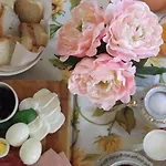Bed & Breakfast Casa Fei Signa