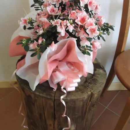 Bed & Breakfast Casa Fei *